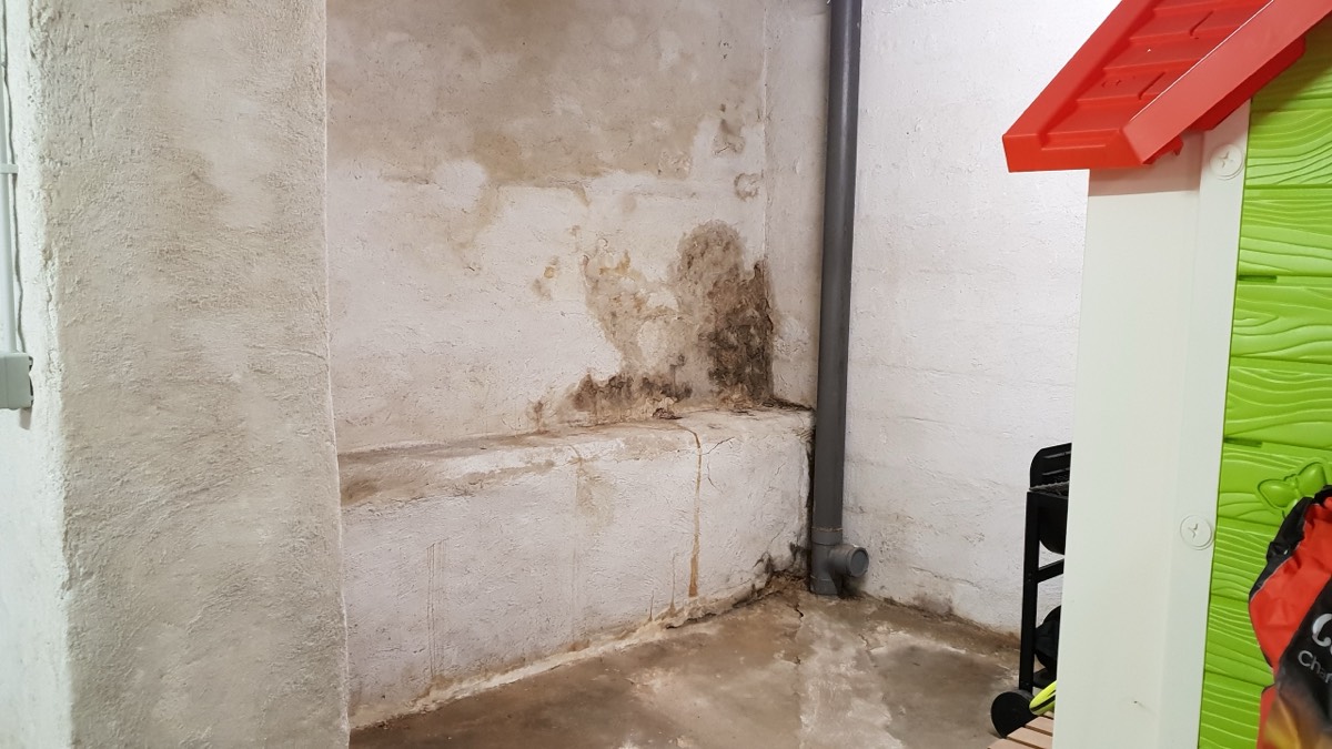 Infiltrations d'eau - Expertise humidité à Villeurbanne